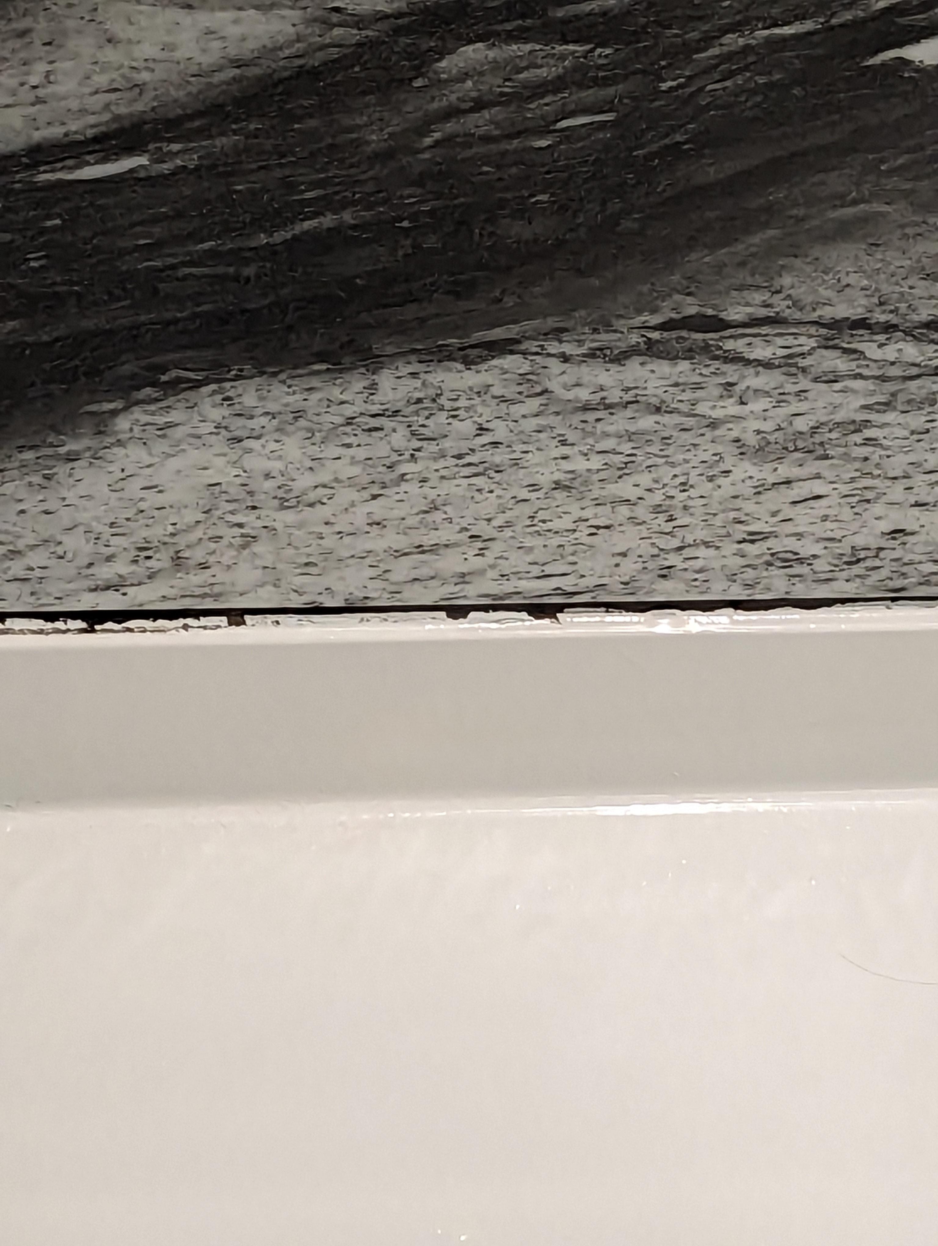 Mold in shower 