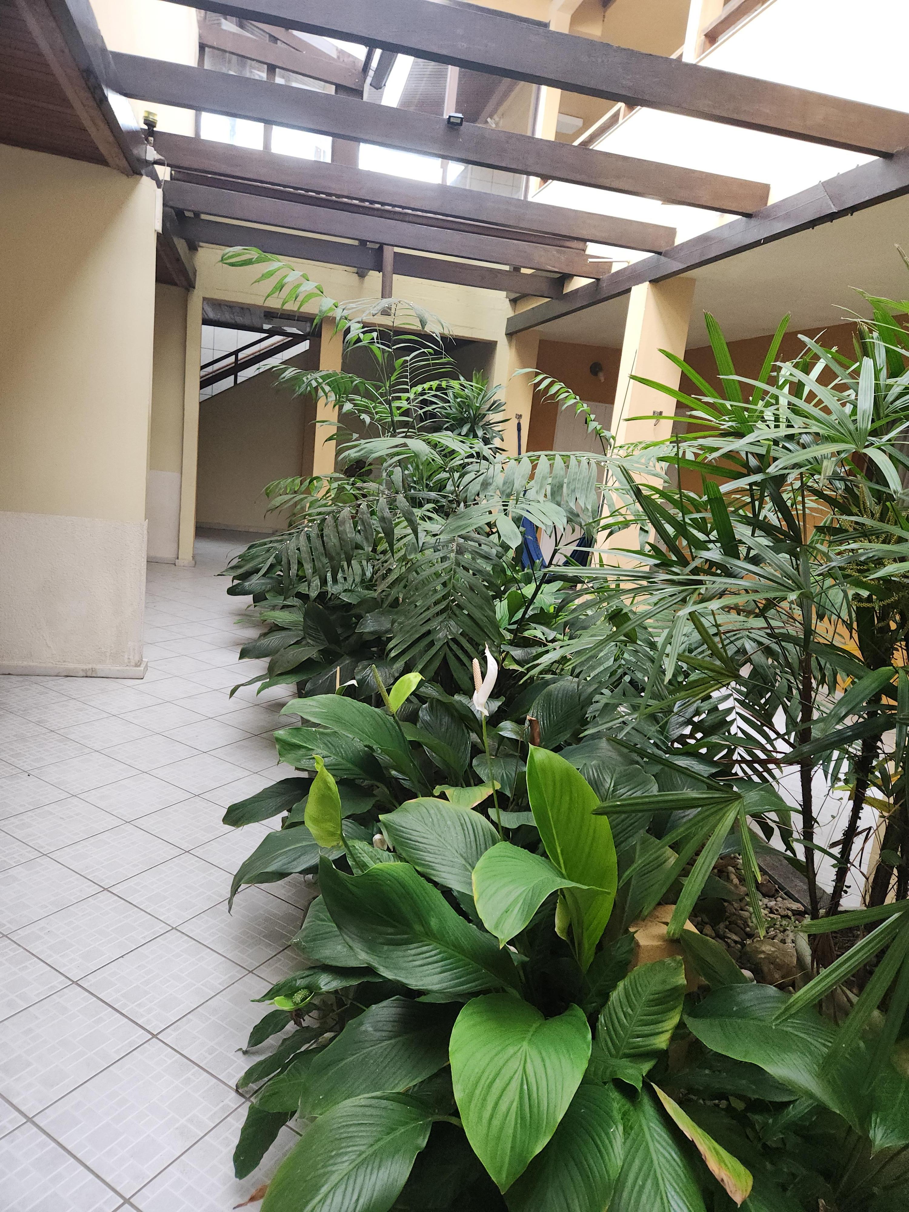 Hall de plantas das foto