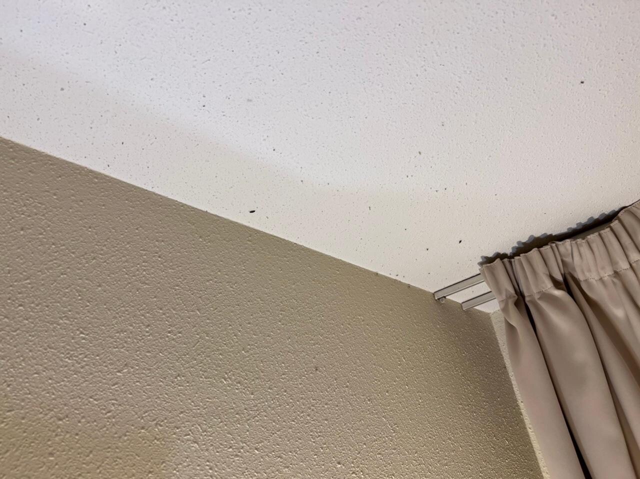 Masse insekter på rommet. 