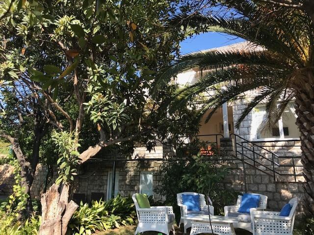 Garden and front of the Apartments. 