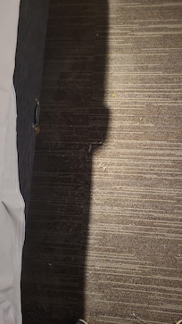 Floor under the beds