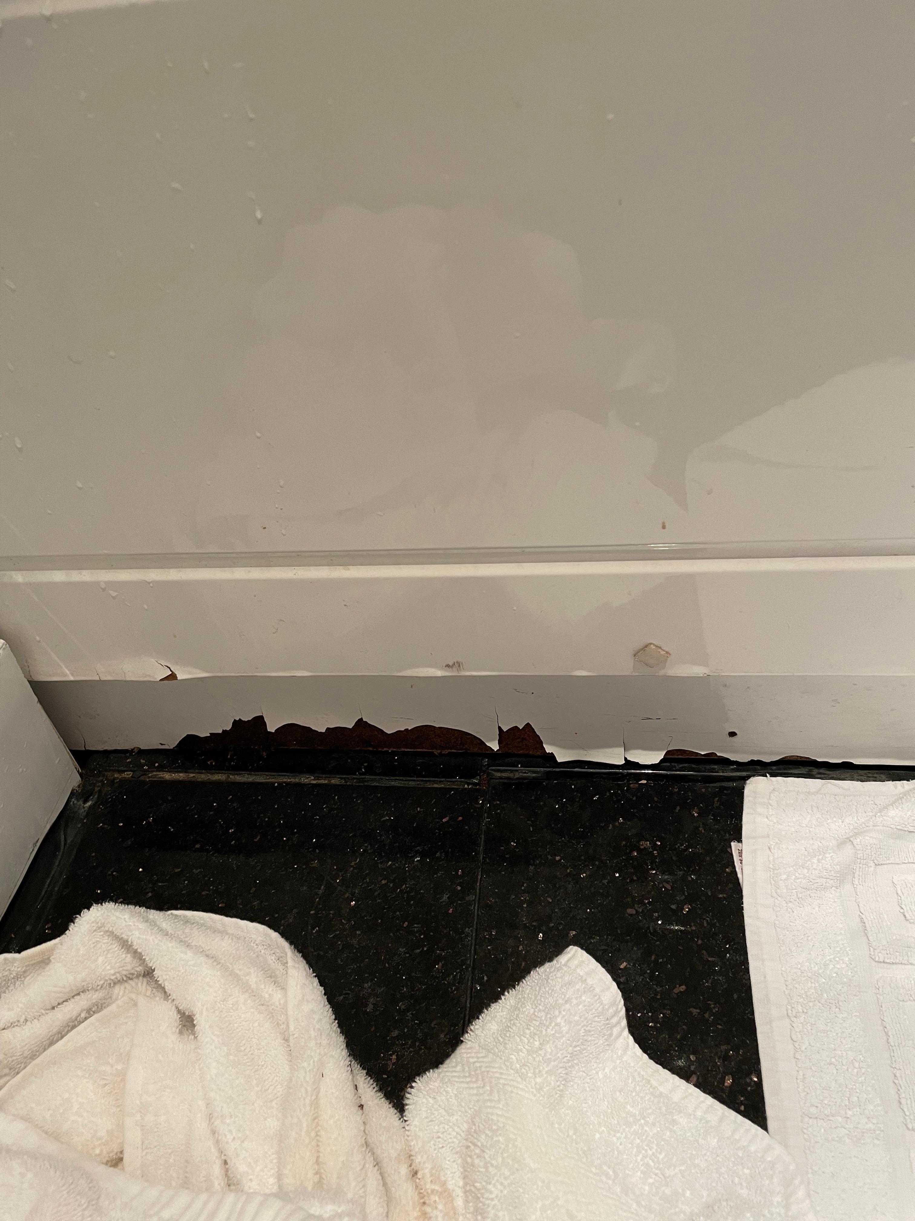 Rotten bath panel