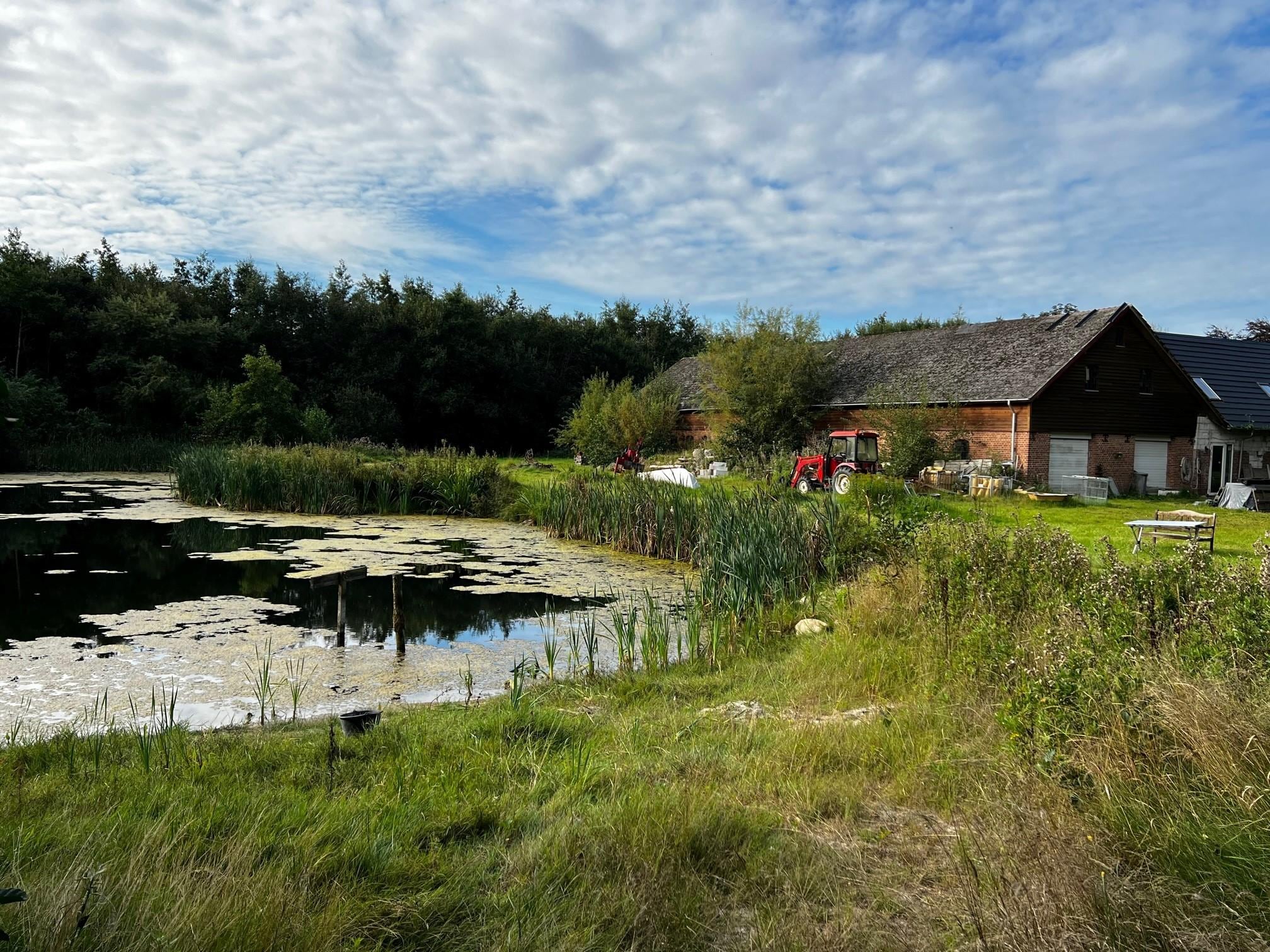 Bildet i annonsen er vel 10-15 år gammelt hvis en ser på trærne langs veggen.