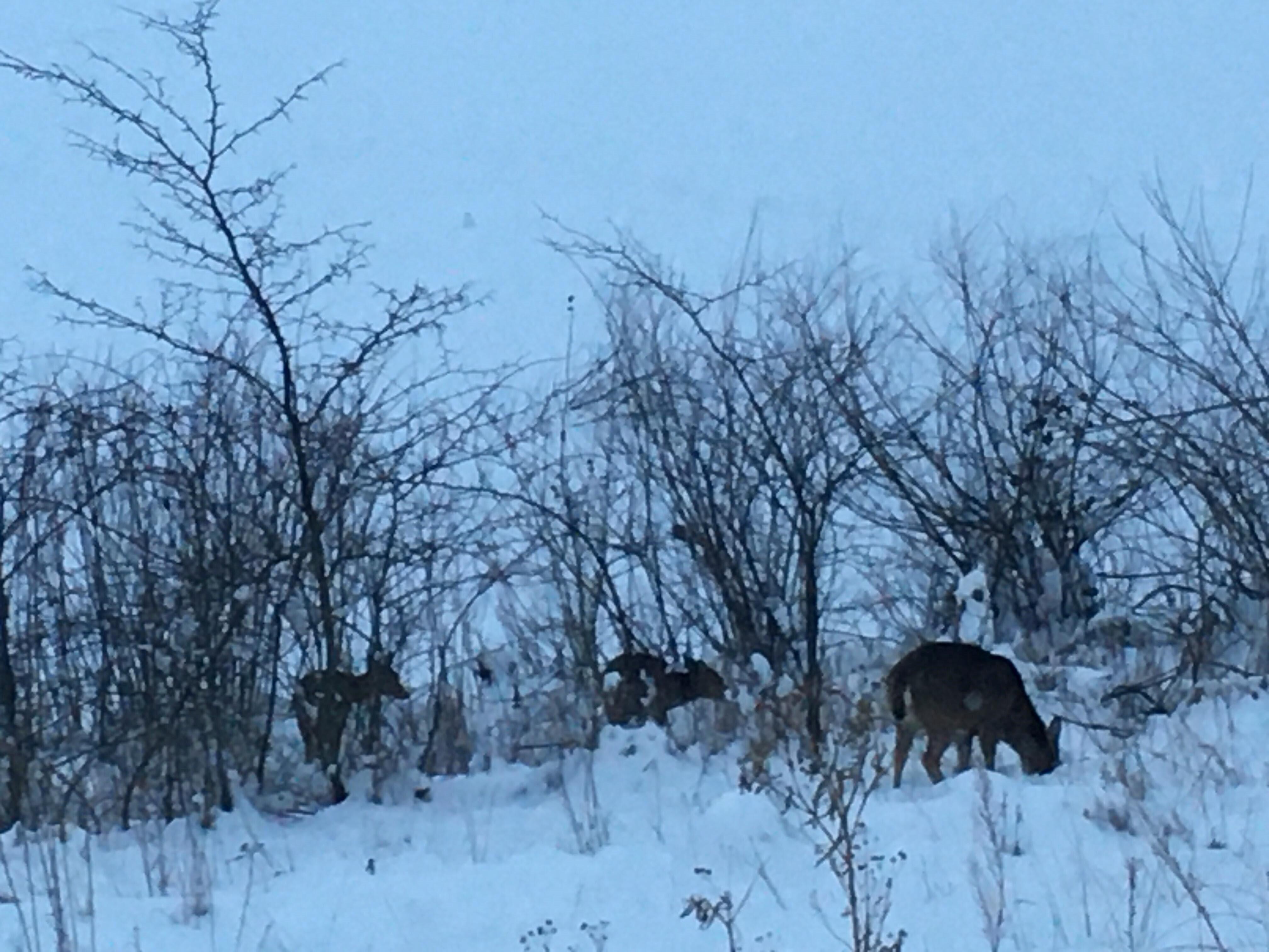This is the view I had while eating breakfast each morning from the restaurant. Great service and menu. 
