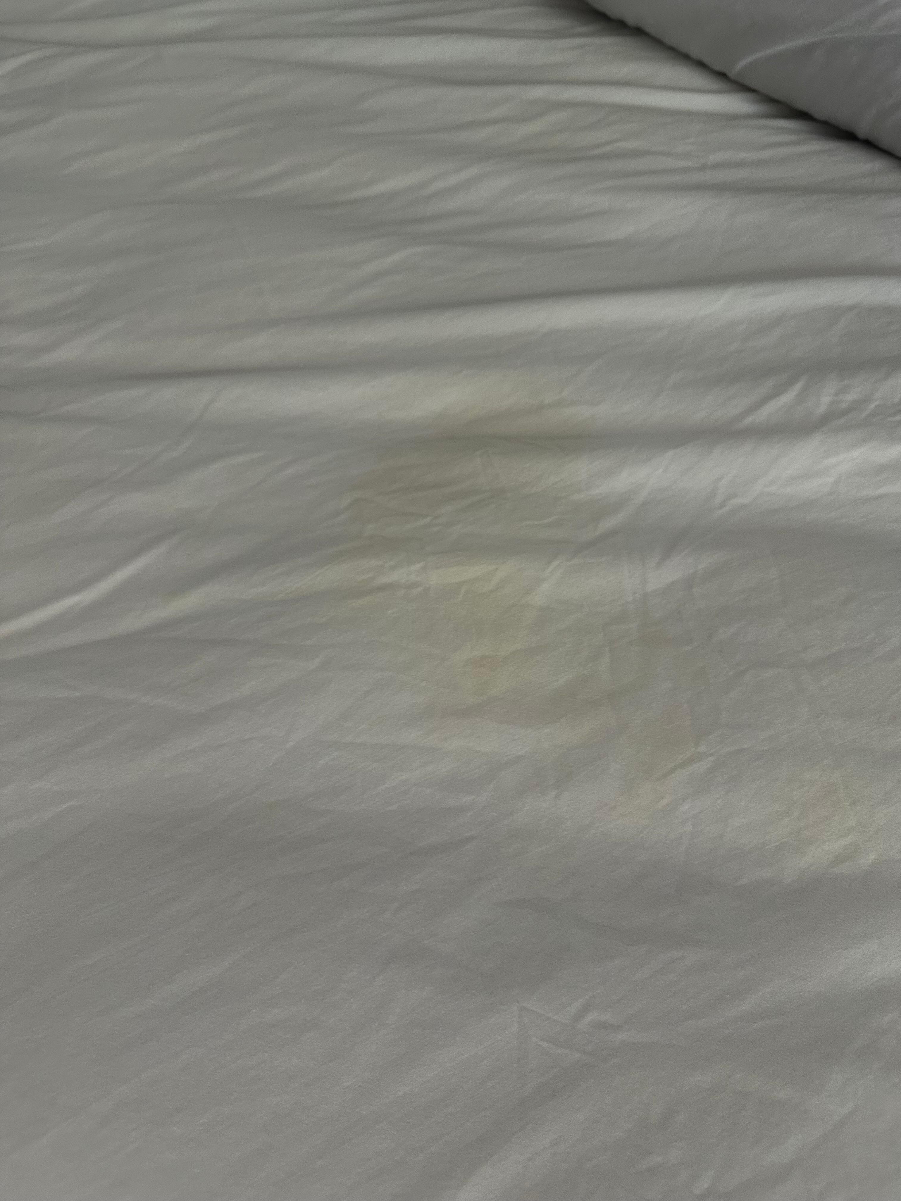 Pee mark on bed sheet