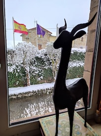 Maravilloso mañana nevada