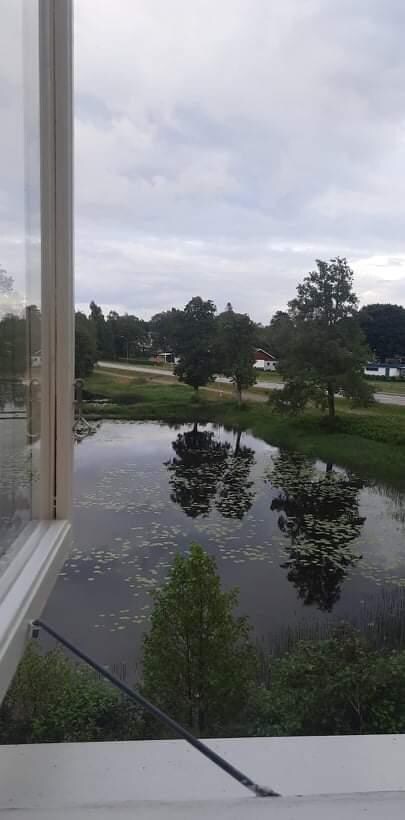 Utsikten från rummet