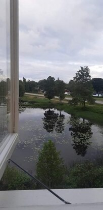 Utsikten från rummet