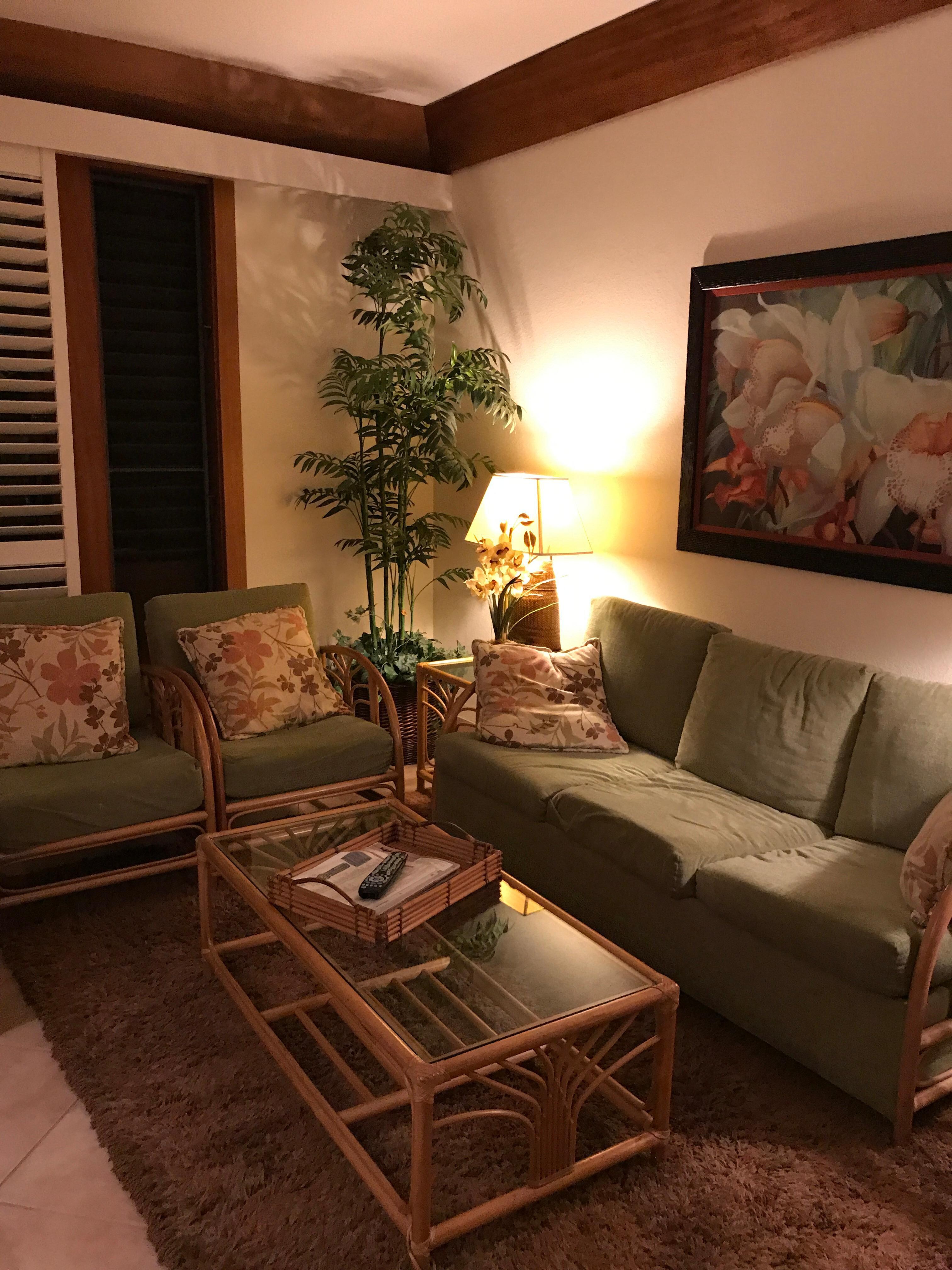 Living room area