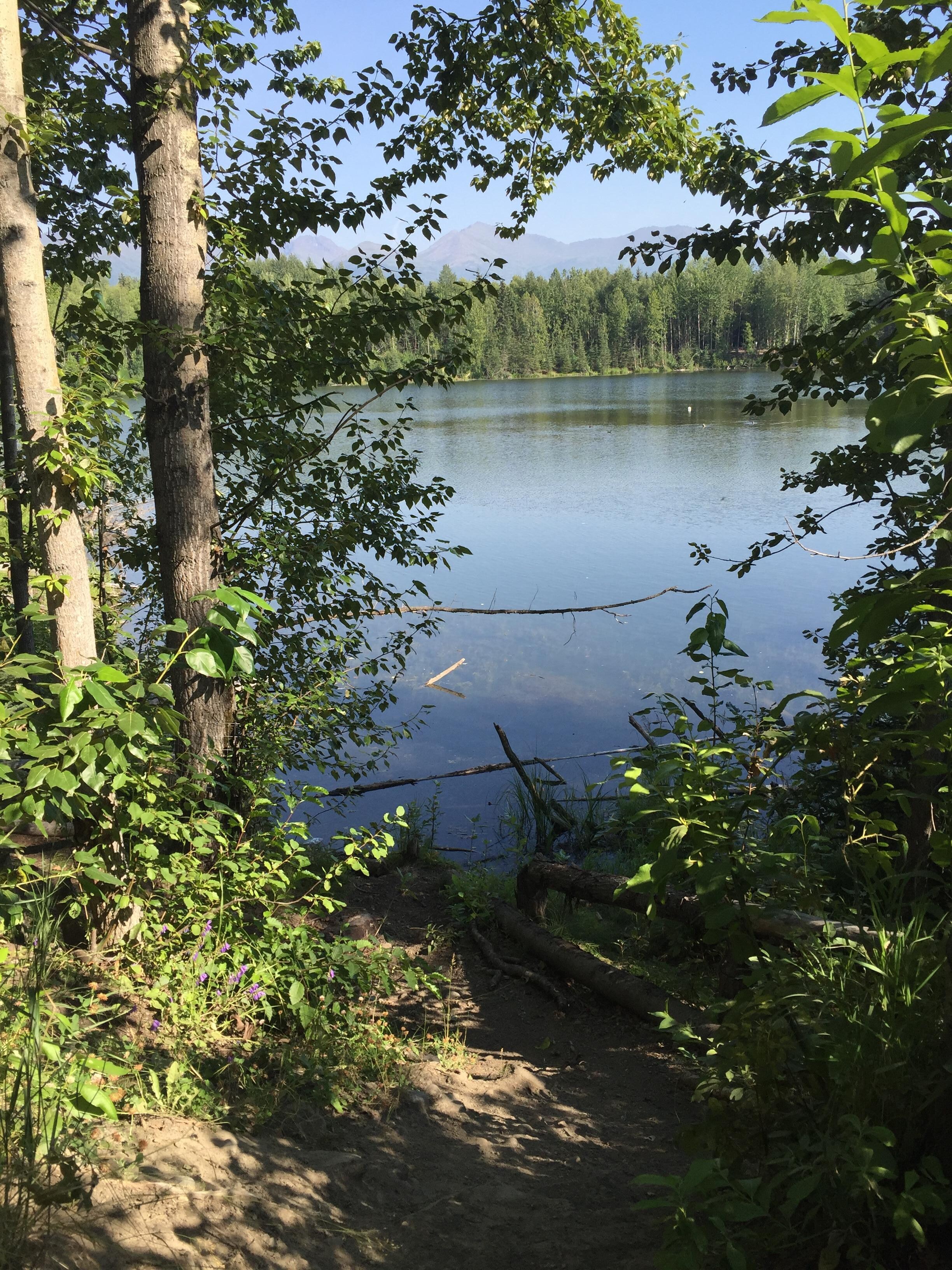 Park with walking trails