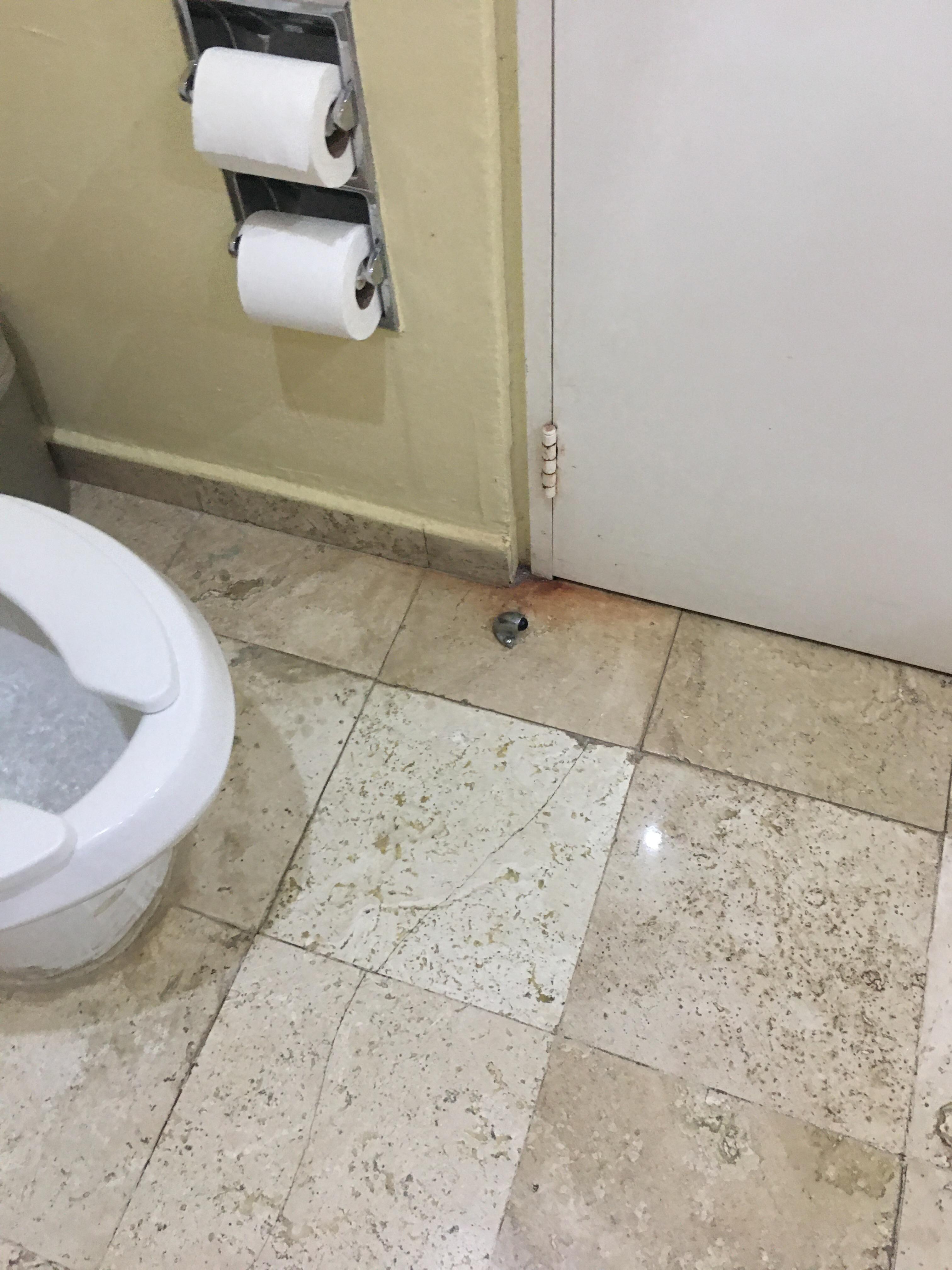Toilet Area