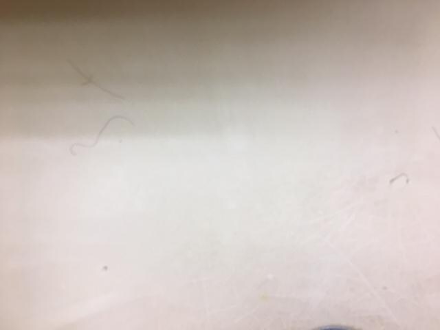 Room #1 Used towl in bathroom