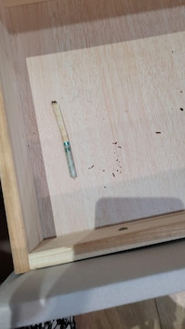 入住第一晚床頭有煙頭