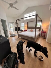 Beautiful and large dog friendly!