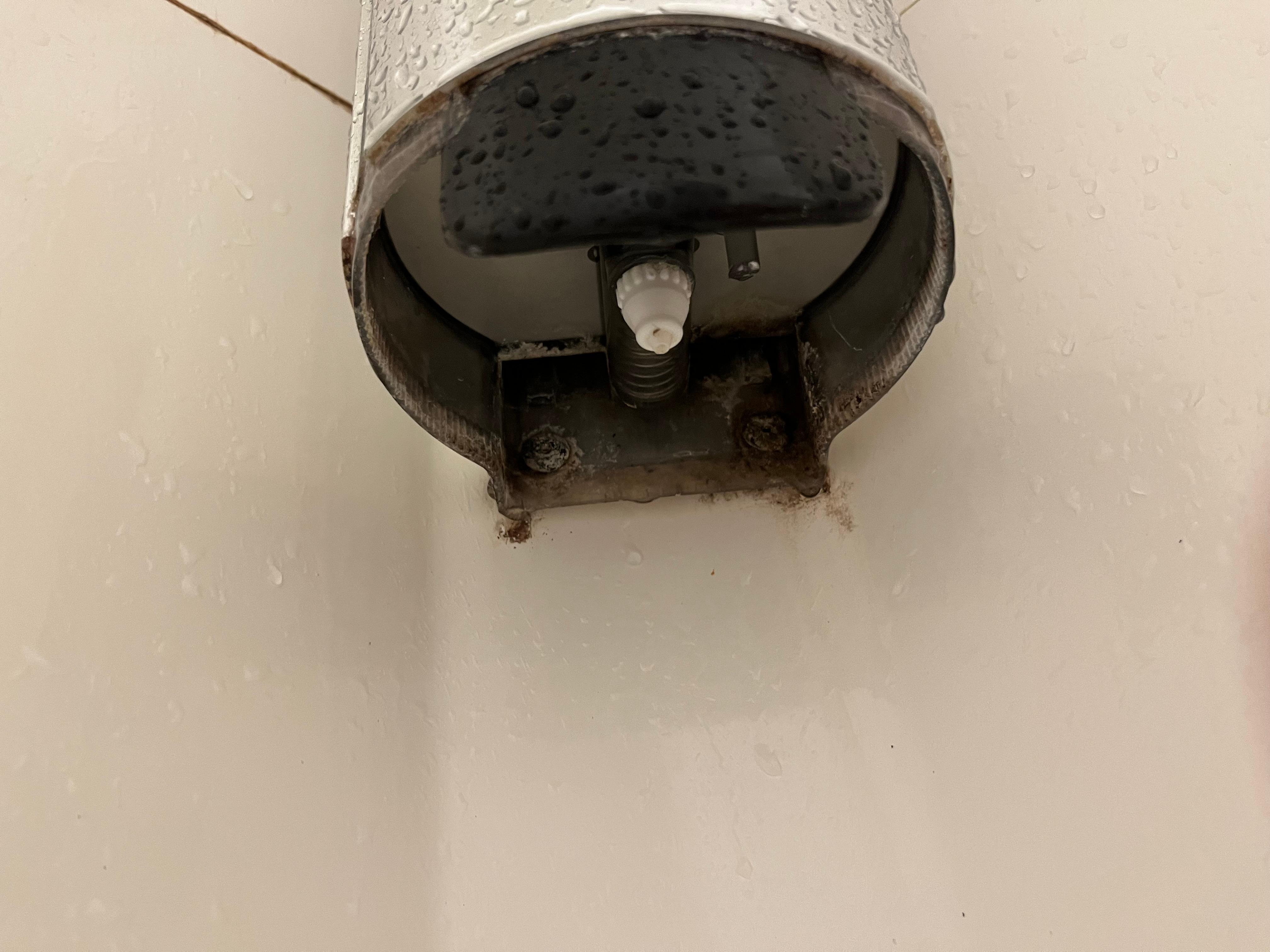 Mold growing in the shower soap dispenser