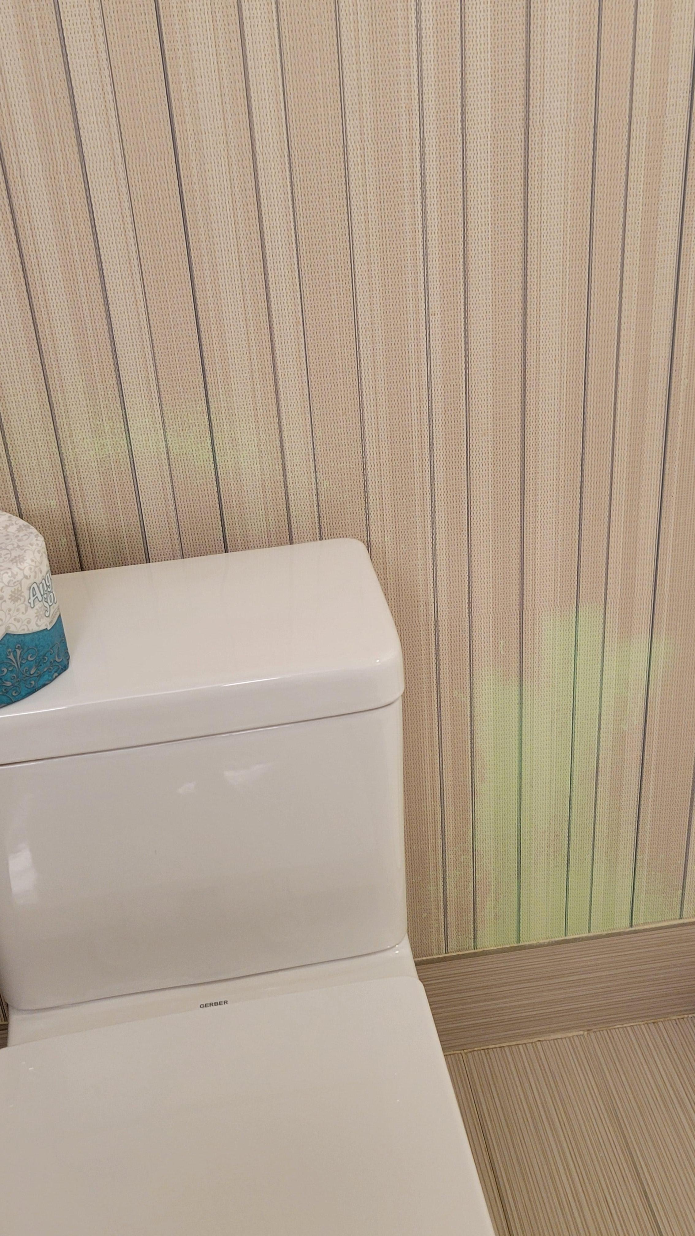 Neon green substance on bathroom wall