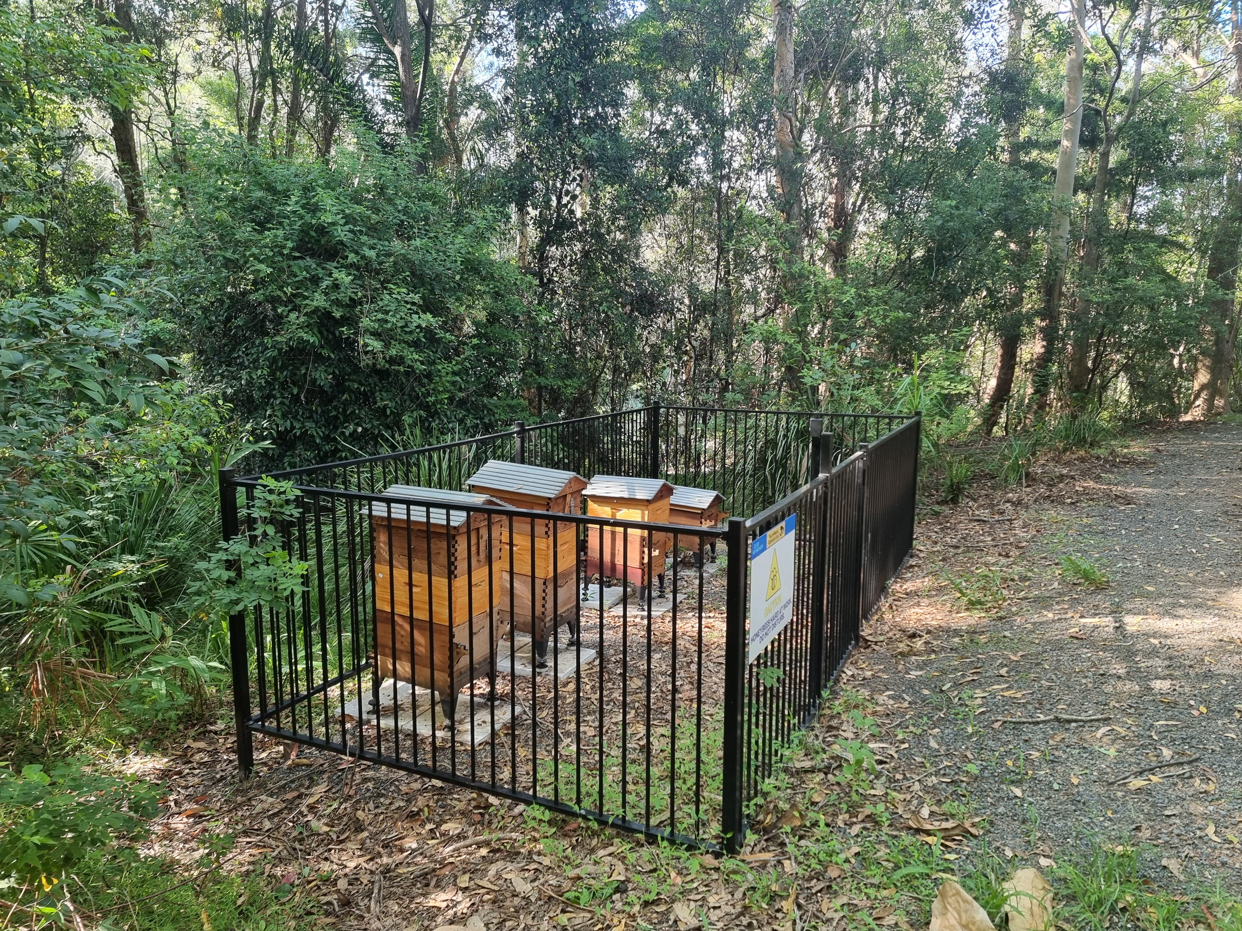 Beehives on property. Tours available on select days
