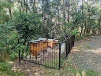 Beehives on property. Tours available on select days
