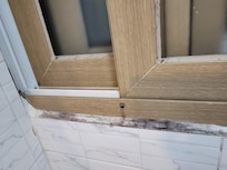 Mold in bathroom
