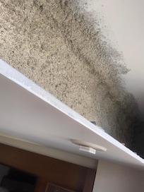 Moisissure au plafond