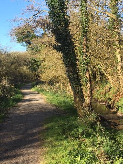 The pathway to Poppit Sands