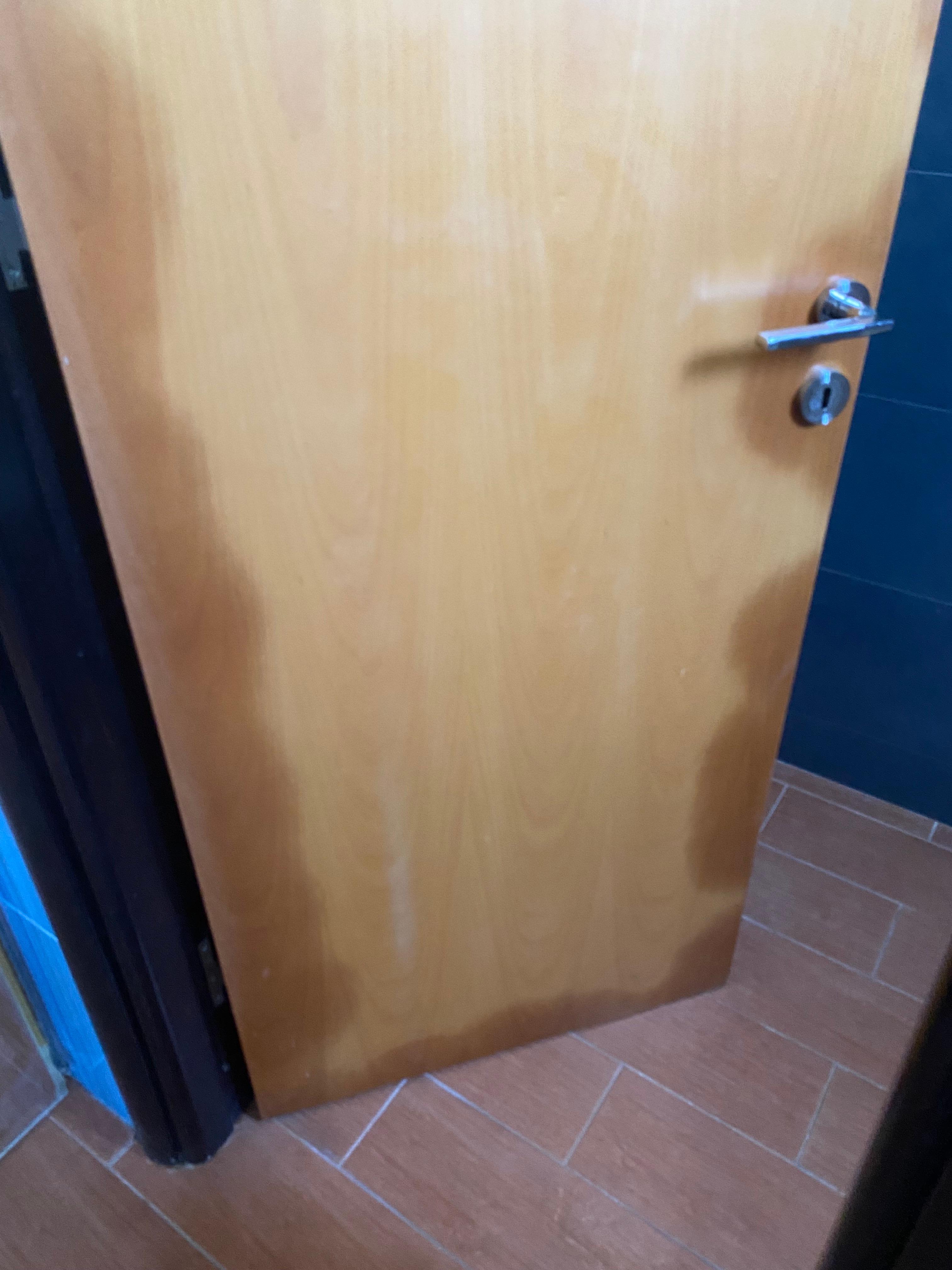 Toilet Door