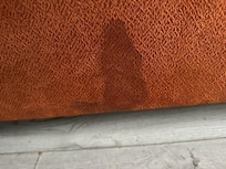 Stained sofa bed