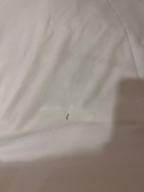 床單破洞,這只是其中一個洞而已,還有別處