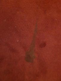 Stains on hallway carpet