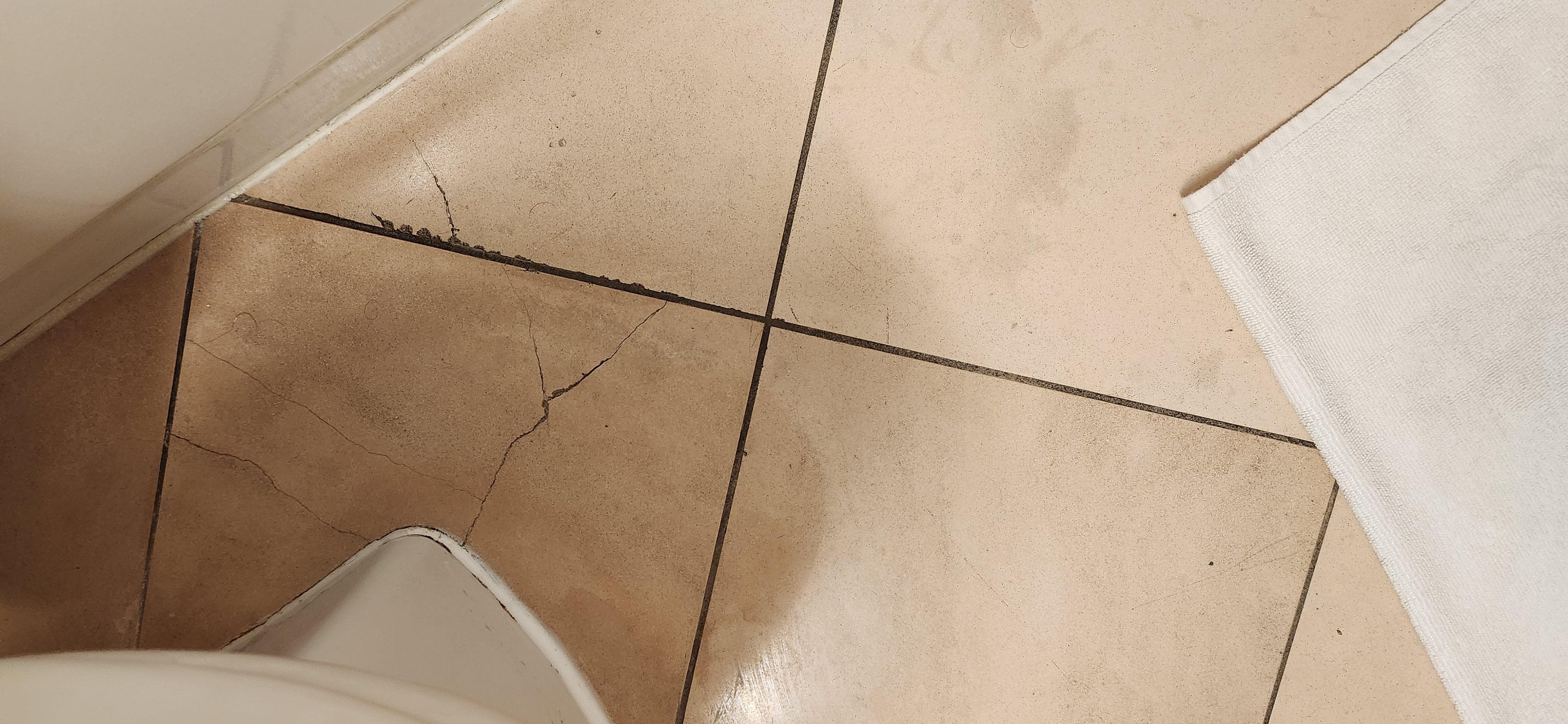 Piso do banheiro