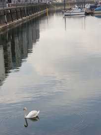 Canal near Rhine River...
