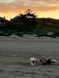 Sunrise walkies