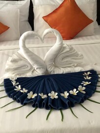 Carinho dos funcionários muito educados e simpáticos