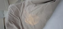 This is the comforter they provided