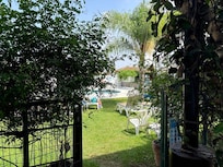 View to garden