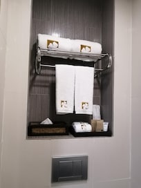 Basic toiletries available.
