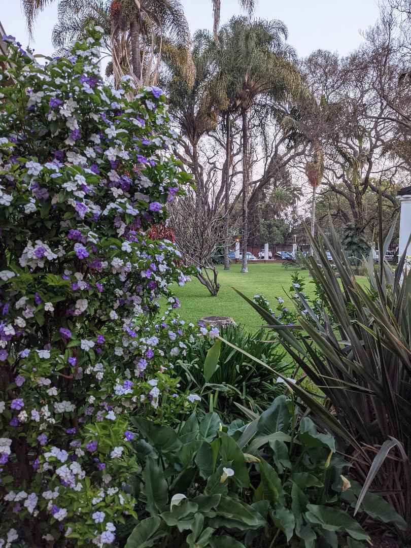 these were maybe the most fragrant flower - view from one of the paths toward the front of the hotel