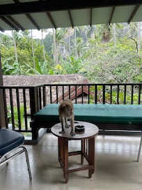 Balkon og husk at holde døren lukket