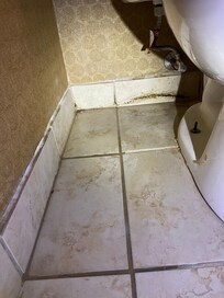 Leaky toilet, water on floor, grunge and mold behind toilet.