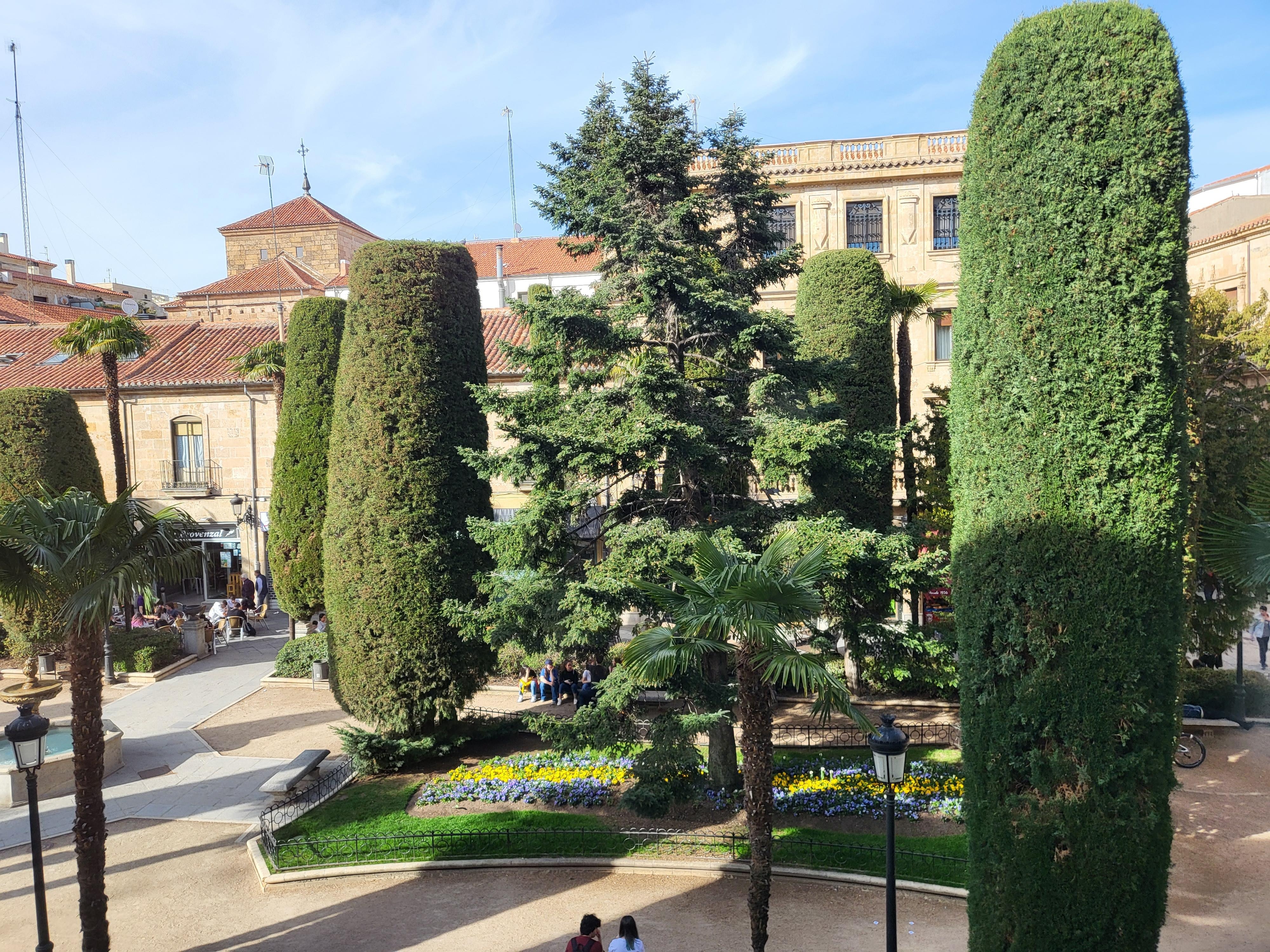 Vista a la Plaza de la Libertad