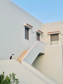 Room entrance and one of the cats