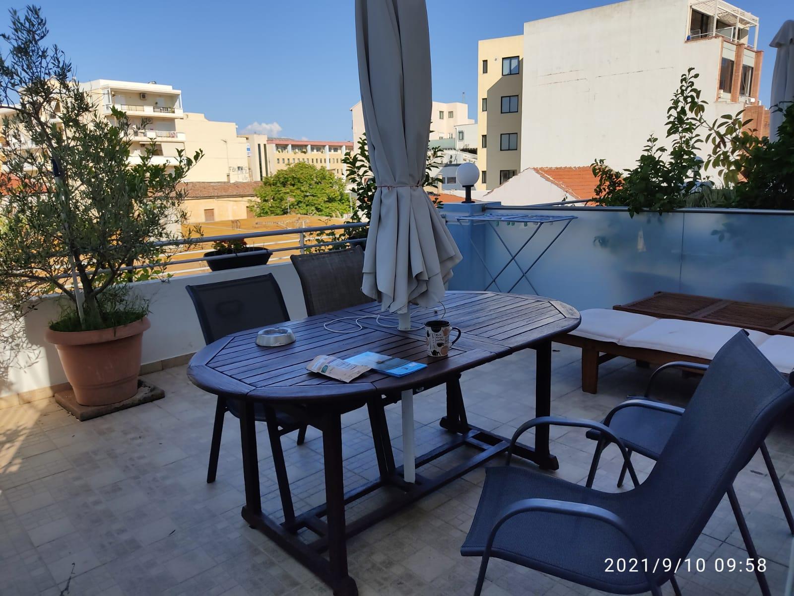 Sunny and spacious terrace with many well looked after plants.