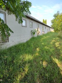 The place needs a little TLC