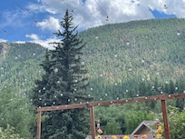 View from the common deck