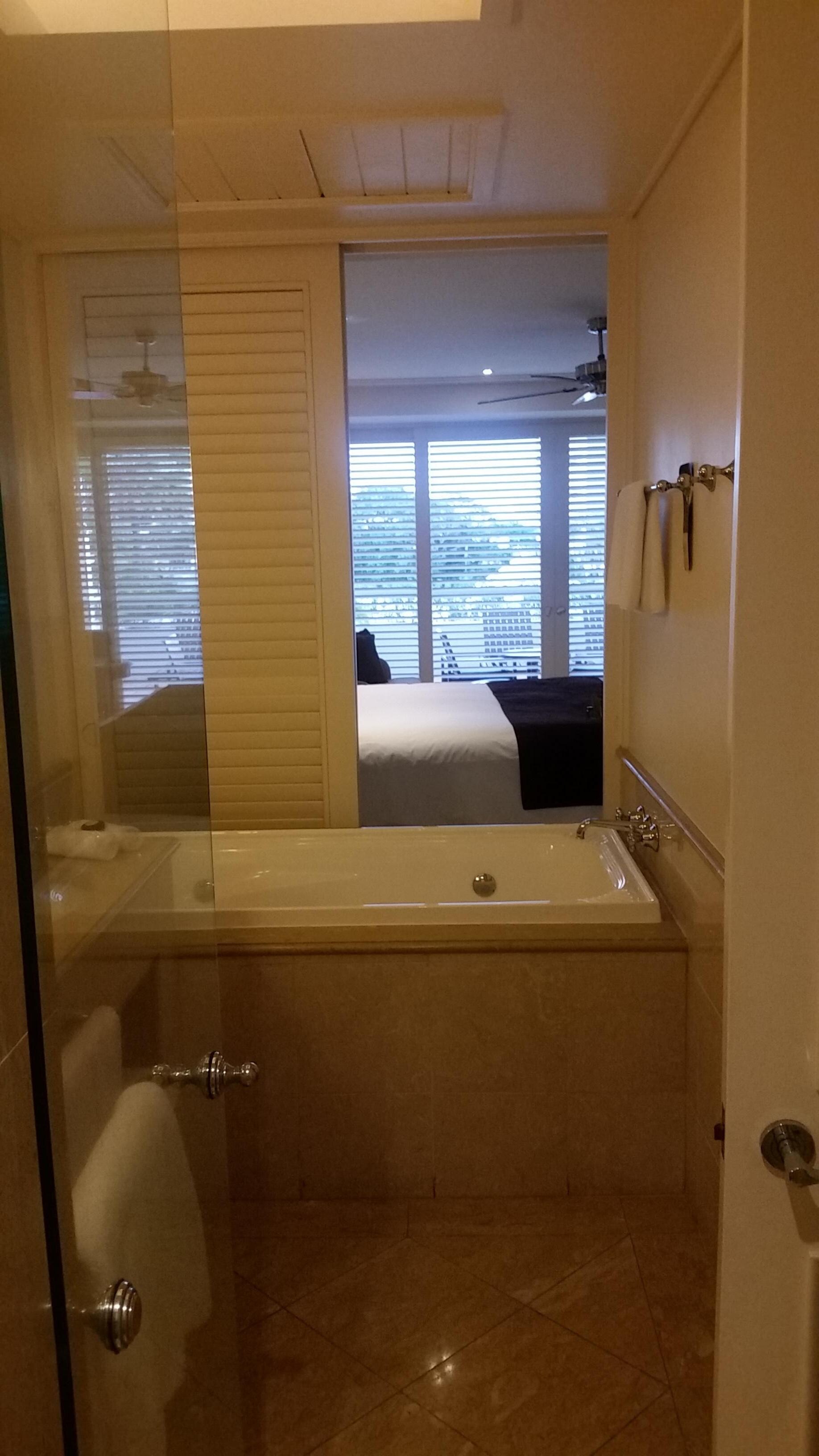 bedroom to bathroom view