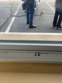 Dead flies in window frame