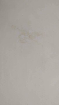Damp patch on ceiling