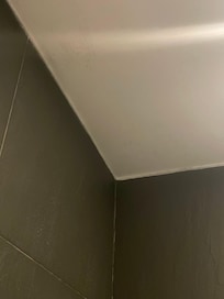 Black mold in shower