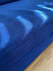 Dog hairs