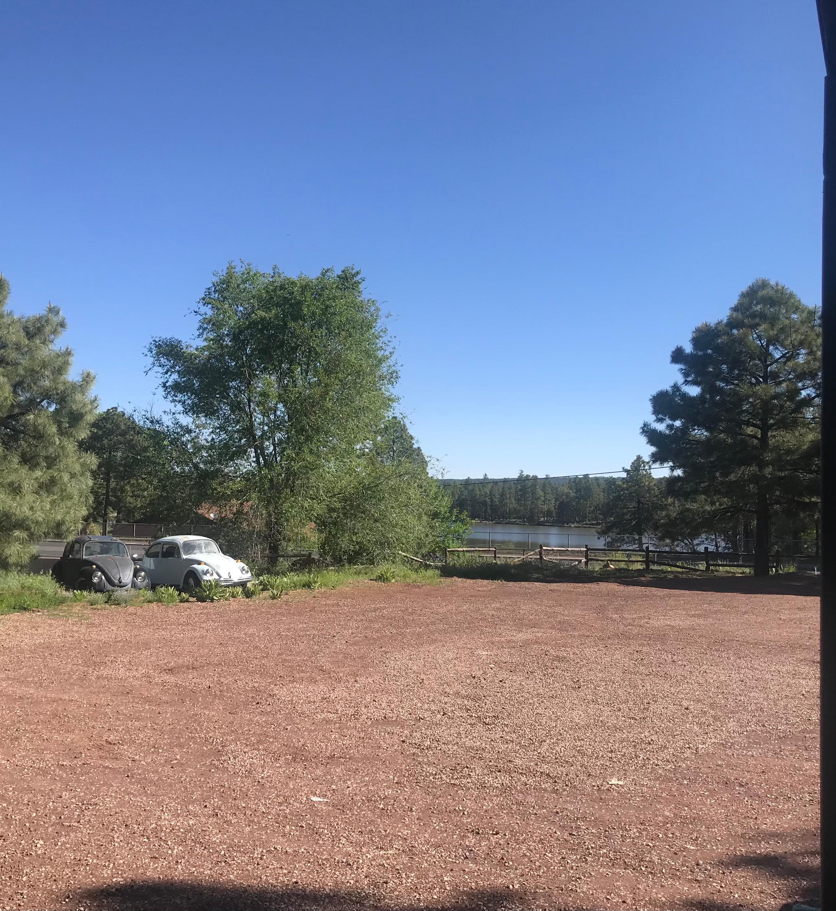 View from porch, across main road 